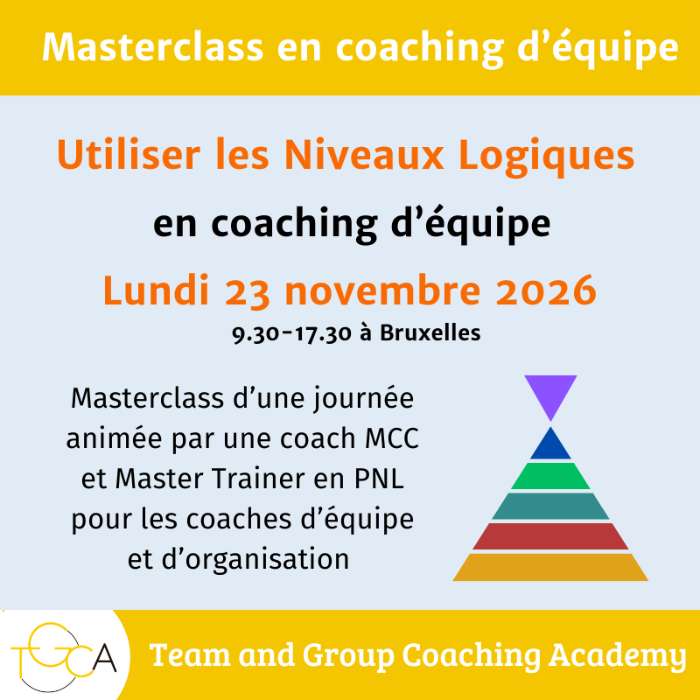 Utiliser les Niveaux Logiques en coaching d’équipe