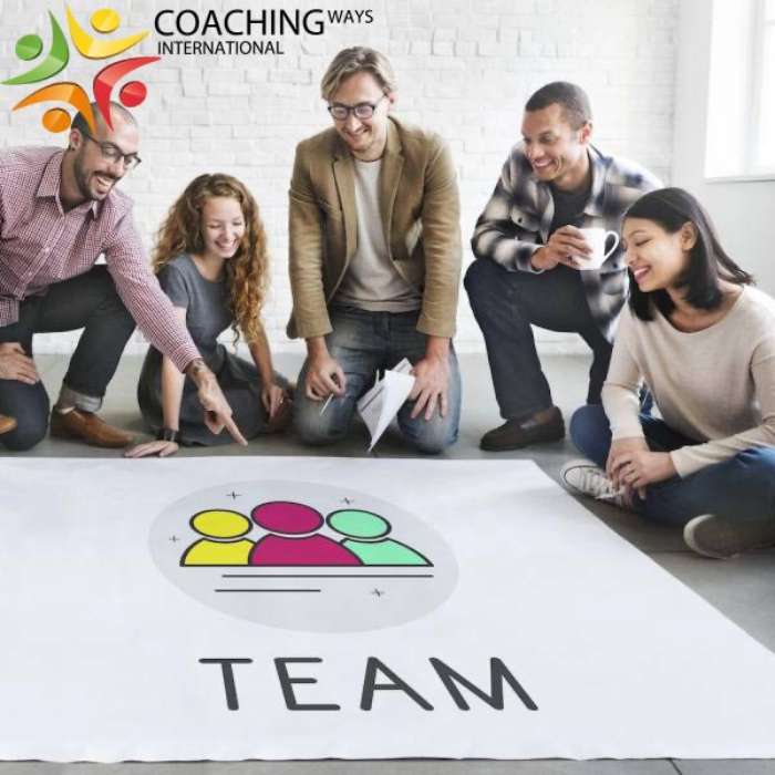 TEAM COACHING - Formation Hybride