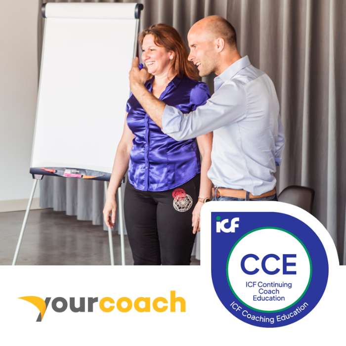 Opleiding Systemisch Coachen